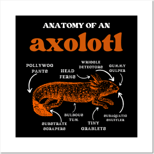 Anatomy of an axolotl axolotls lover Posters and Art